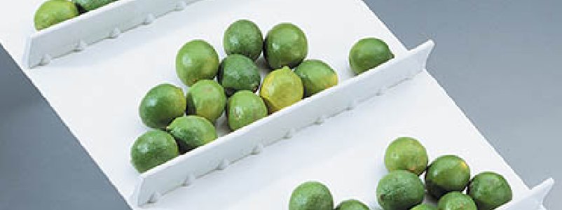Empujadores mecánicos Flexco con limones
